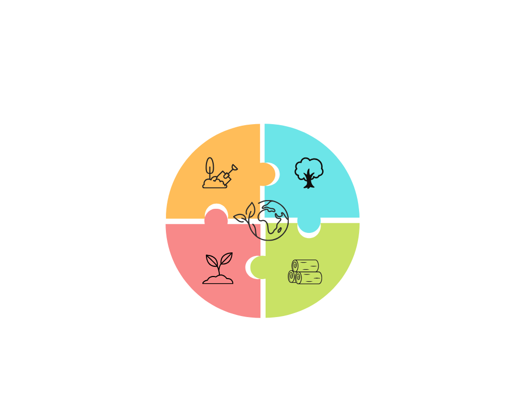シンラ画像 PC版